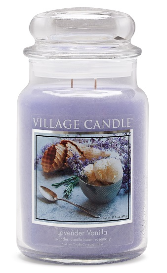 Dragonfly Candle Glass Jar by Village Candle